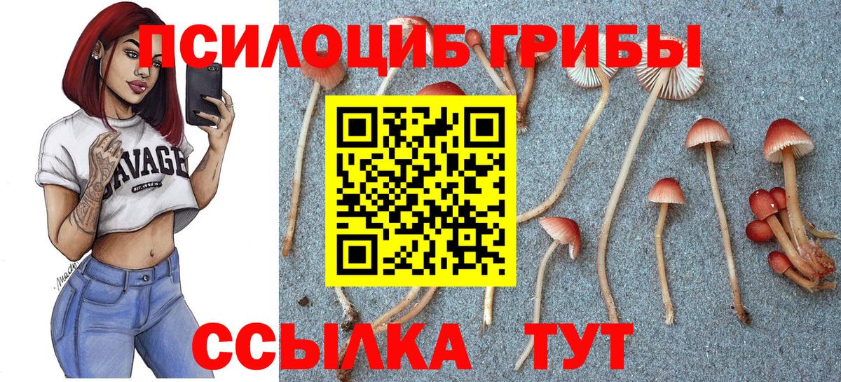 Псилоцибиновые грибы Magic Shrooms  Галлюциногенные грибы Psilocybe  Вход с VPN  Приморско-Ахтарск 